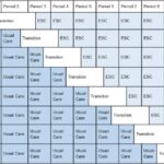 A table comparing ESC care approach to usual institutional care.