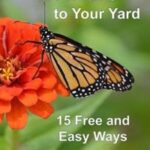 Front cover of the book "Attract Pollinators and Wildlife to Your Yard: 15 Free and Easy Ways", promoting ecological gardening.