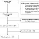 Trial profile illustrating patient inclusion and exclusion criteria.