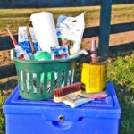 Horse Hoof Care Essentials