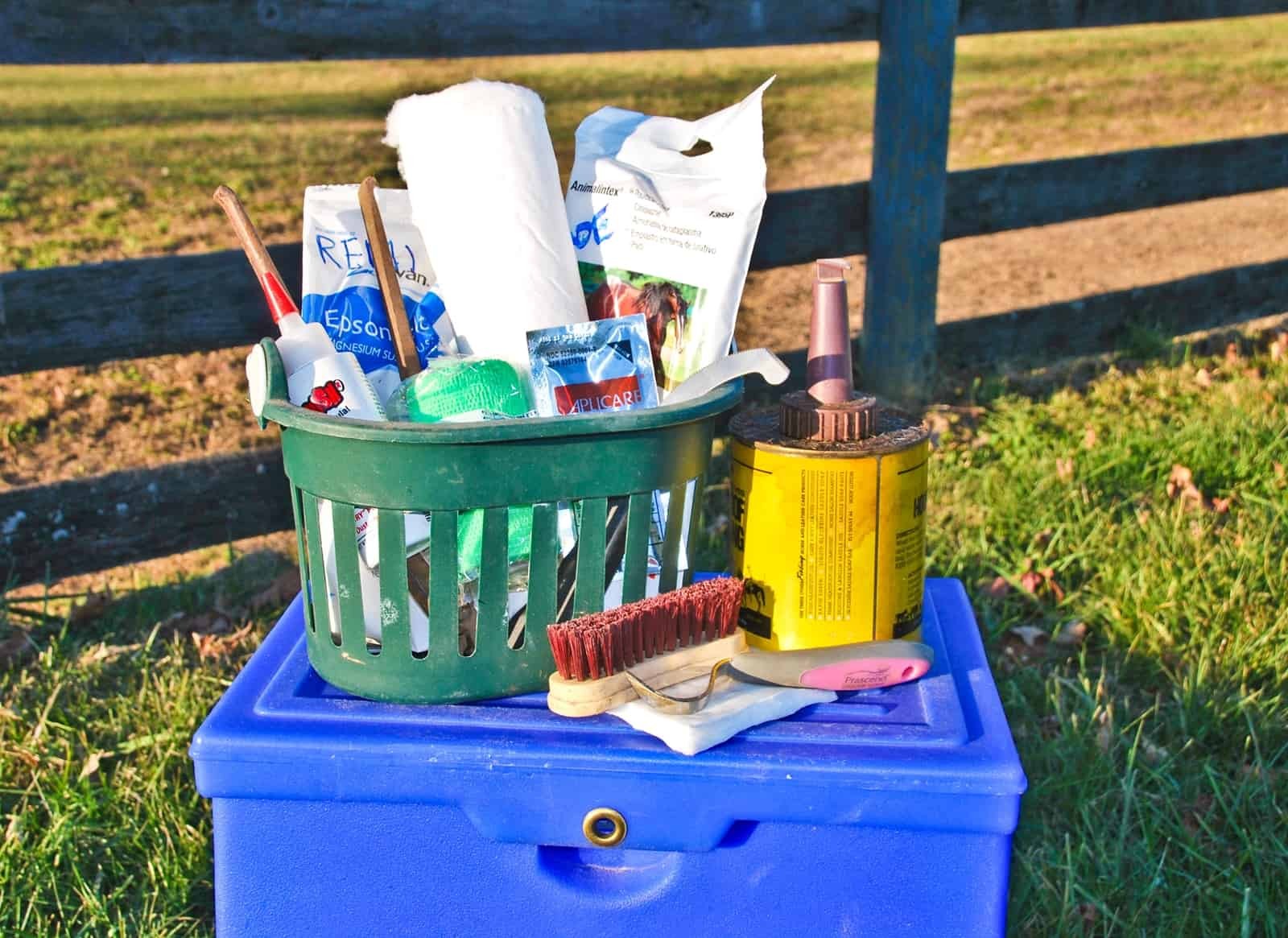 Horse Hoof Care Essentials