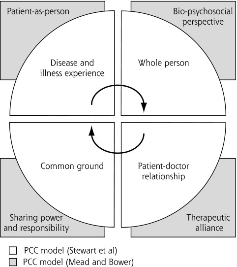 Conceptual framework of patient-centered care (PCC)