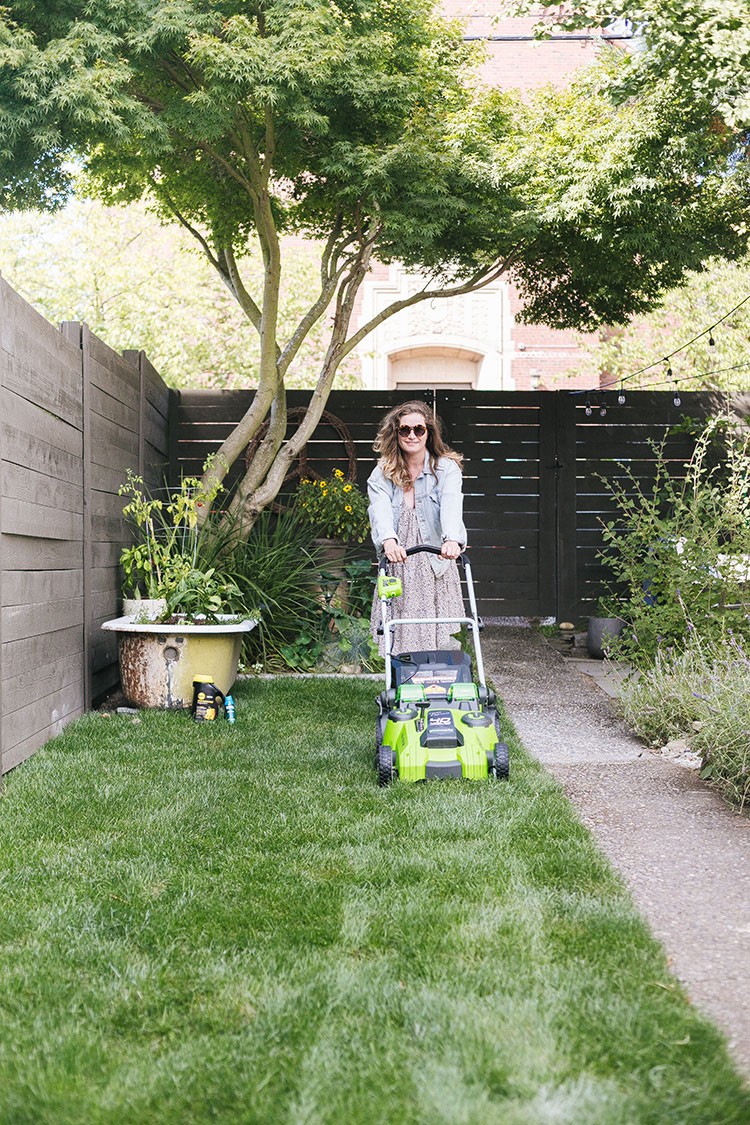 Green lawn freshly installed with sod, highlighting its vibrant color and texture.