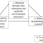 Figure 7.1 illustrating the extension of experimental medicine approach for family-based interventions to translational neuroscience research