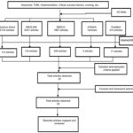 Consort flow chart of systematic review method