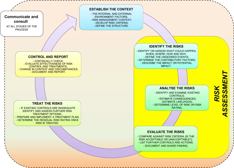 Risk management process