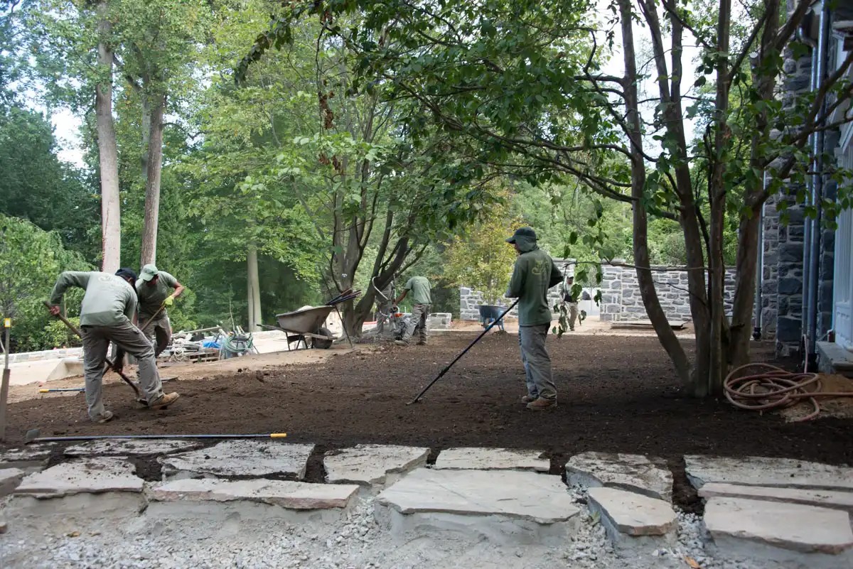 No-Mow Lawn Installation Bryn Mawr PA