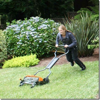 Cleaning the Fiskars StaySharp Mower Blades