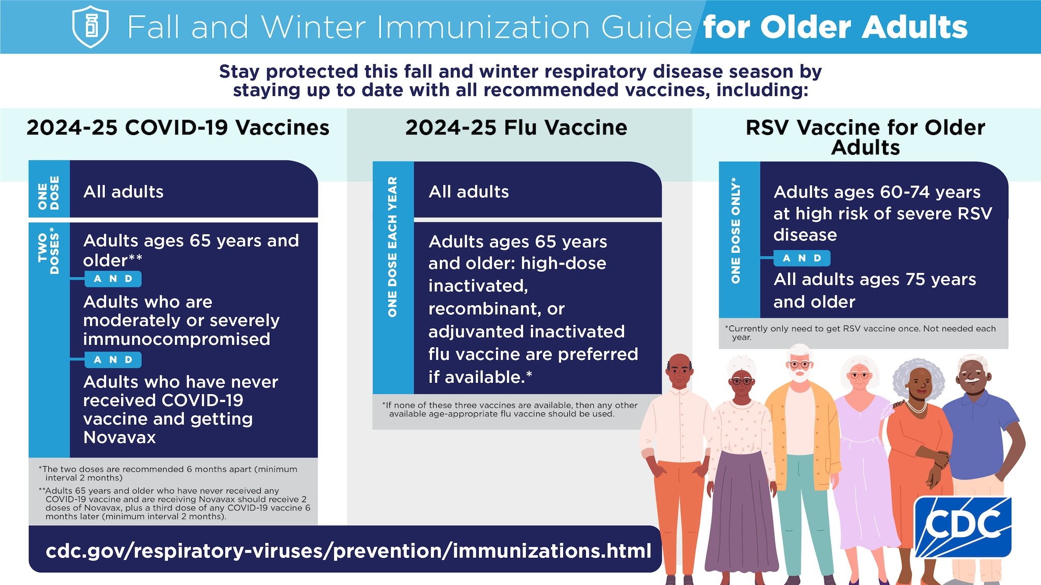 Vaccination Guide for Older Adults Infographic