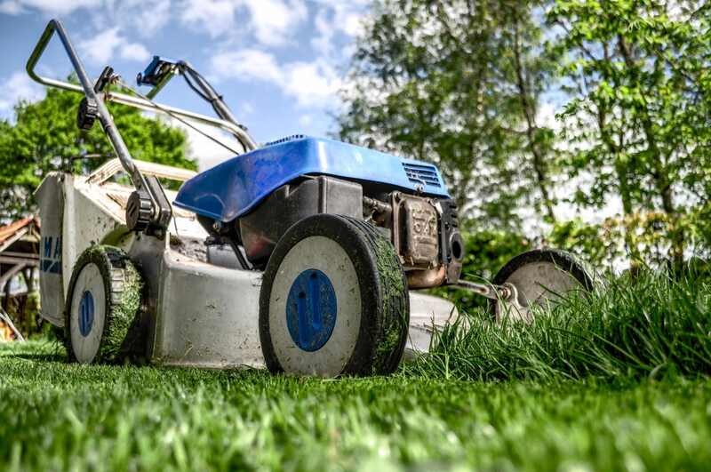 Professional lawn mower cutting green grass in backyard.